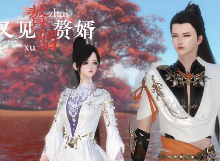 赘婿又见赘婿海报